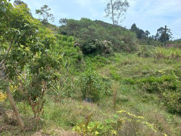 VENDO FINCA DE TRABAJO EN CONCEPCIÓN ANTIOQUIA.