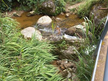 VENDO FINCA DE TRABAJO EN CONCEPCIÓN ANTIOQUIA.