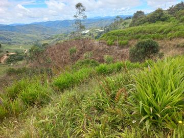 VENDO FINCA DE TRABAJO EN CONCEPCIÓN ANTIOQUIA.