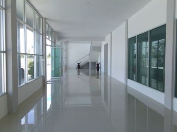 Sale Warehouse Bang Sao Thong