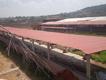 VENTA DE RANCHO A 10 MINUTOS DE ACULCO
