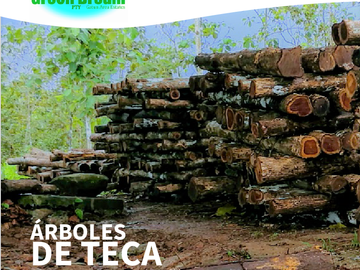 GDPTY - Finca41 de 5,005  m2 Financiada 100% SIN INTERES, ABONO Y REQUISITOS