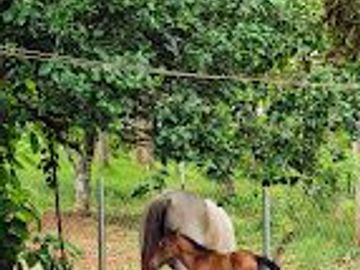 GDPTY - Finca41 de 5,005  m2 Financiada 100% SIN INTERES, ABONO Y REQUISITOS