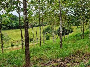GDPTY - Finca41 de 5,005  m2 Financiada 100% SIN INTERES, ABONO Y REQUISITOS