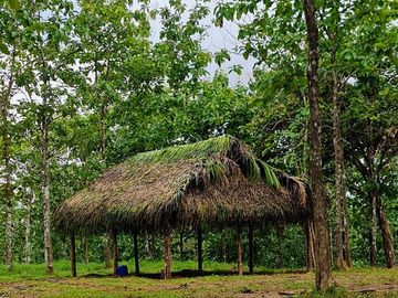 GDPTY - Finca41 de 5,005  m2 Financiada 100% SIN INTERES, ABONO Y REQUISITOS