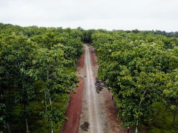 GDPTY - Finca41 de 5,005  m2 Financiada 100% SIN INTERES, ABONO Y REQUISITOS