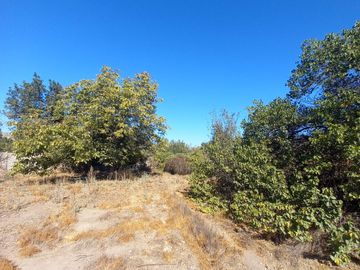 VENTA DE TERRENO URBANISADO, LOS ANDES, CALLE LAS LILLAS, 1.600MTRS, $180.000.000