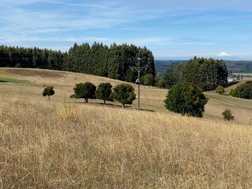 Campo en venta de 20 hectáreas en La Unión con hermosa vista