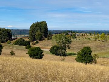 Campo en venta de 20 hectáreas en La Unión con hermosa vista