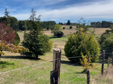 Campo en venta de 20 hectáreas en La Unión con hermosa vista