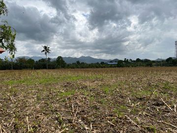 For Sale! San Pablo City Farm Lot 16,932 sqm