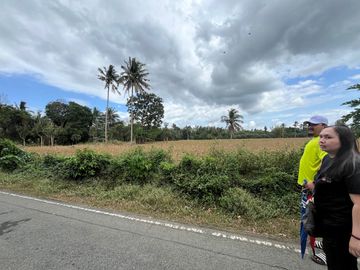 For Sale! San Pablo City Farm Lot 16,932 sqm