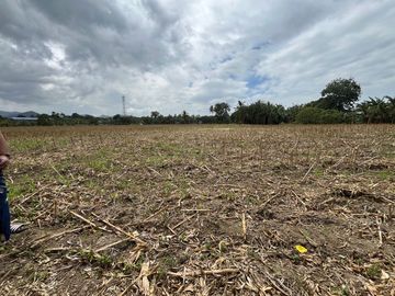 For Sale! San Pablo City Farm Lot 16,932 sqm