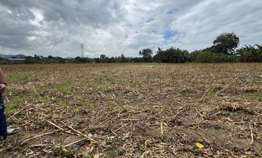 For Sale! San Pablo City Farm Lot 16,932 sqm