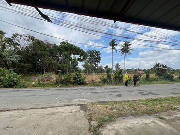 For Sale! San Pablo City Farm Lot 16,932 sqm