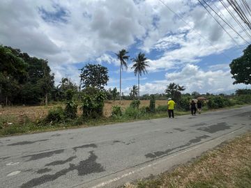 For Sale! San Pablo City Farm Lot 16,932 sqm