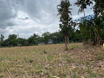 For Sale! San Pablo City Farm Lot 16,932 sqm
