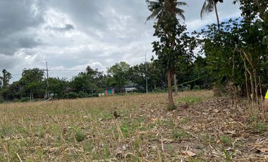 For Sale! San Pablo City Farm Lot 16,932 sqm