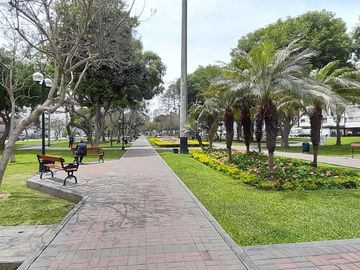 MIRAFLORES LINDO DEPARTAMENTO EN VENTA AV. RICARDO PALMA -  PARQUE TRADICIONES ¡¡NEGOCIABLE!!