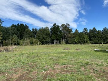 Z O N A S U R . C L Destino habitacional o comercial casa  terreno de 5.000 m2 a orilla de camino público Pedregoso Villarrica