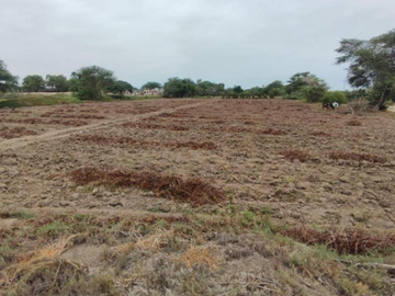 REMATE DE TERRENO EN MONSEFU  CHICLAYO