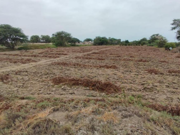 REMATE DE TERRENO EN MONSEFU  CHICLAYO