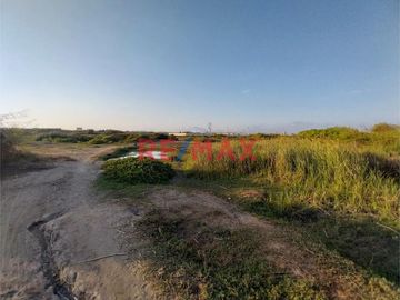 Venta De Terreo Agricola / Moche / 6065 M2 / Sector Tambo Grande
