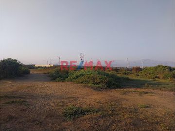 Venta De Terreo Agricola / Moche / 6065 M2 / Sector Tambo Grande