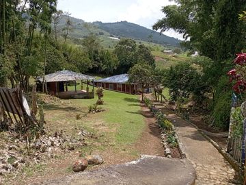 SE VENDE FINCA EN KM 30 SAN BERNARDO, DAGUA, VALLE DEL CAUCA
