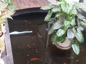 Rumah Akses 1 Mobil, 30 Meter Ke Jalan Munjul Raya