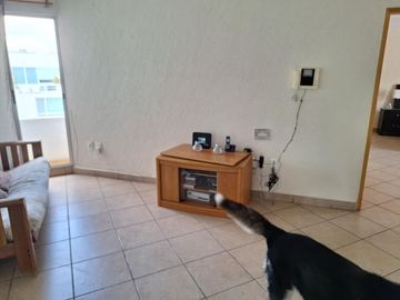 VENTA CASA EN RINCONADA DE LOS ALAMOS QUERÉTARO QUERÉTARO