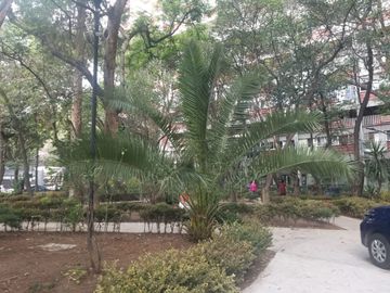 Funcional departamento pequeño en el corazón de la Colonia del Valle