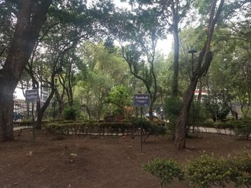 Funcional departamento pequeño en el corazón de la Colonia del Valle