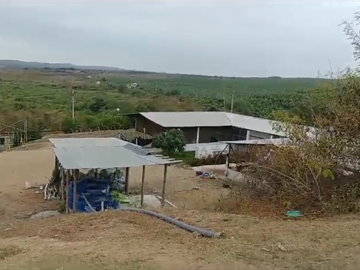 Bananera de Venta en Santa Elena