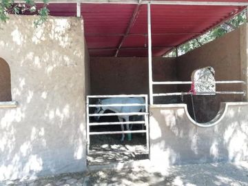 Rancho Ecuestre o para eventos sociales en Puente de Ixtla, Morelos