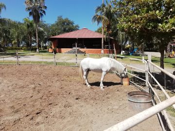 Rancho Ecuestre o para eventos sociales en Puente de Ixtla, Morelos