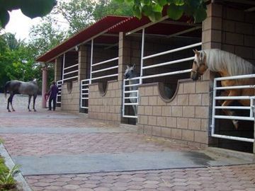 Rancho Ecuestre o para eventos sociales en Puente de Ixtla, Morelos