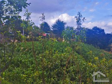 VENTA DE TERRENO EN MINERAL DEL CHICO CARBONERAS.