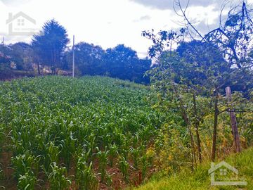 VENTA DE TERRENO EN MINERAL DEL CHICO CARBONERAS.
