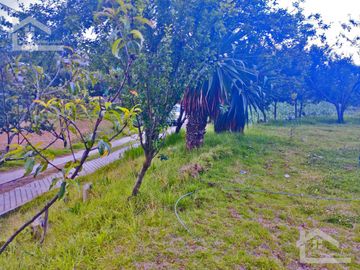 VENTA DE TERRENO EN MINERAL DEL CHICO CARBONERAS.