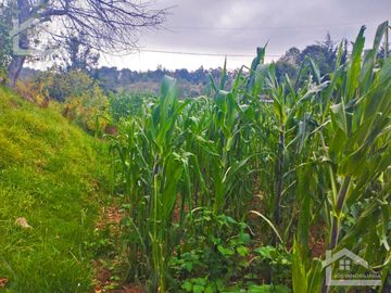VENTA DE TERRENO EN MINERAL DEL CHICO CARBONERAS.