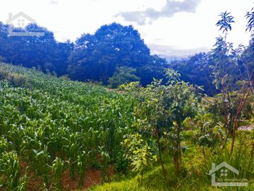 VENTA DE TERRENO EN MINERAL DEL CHICO CARBONERAS.