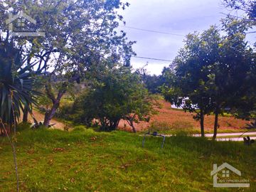 VENTA DE TERRENO EN MINERAL DEL CHICO CARBONERAS.