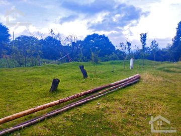 VENTA DE TERRENO EN MINERAL DEL CHICO CARBONERAS.