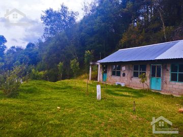 VENTA DE TERRENO EN MINERAL DEL CHICO CARBONERAS.
