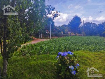 VENTA DE TERRENO EN MINERAL DEL CHICO CARBONERAS.