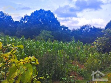 VENTA DE TERRENO EN MINERAL DEL CHICO CARBONERAS.