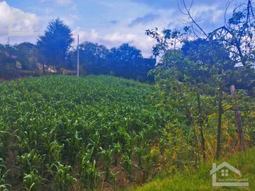 VENTA DE TERRENO EN MINERAL DEL CHICO CARBONERAS.