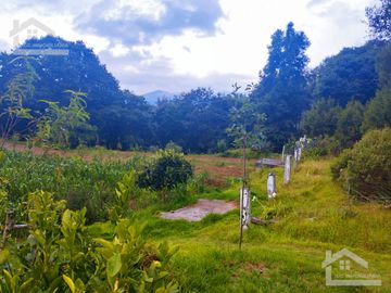 VENTA DE TERRENO EN MINERAL DEL CHICO CARBONERAS.