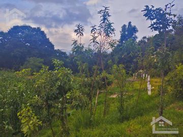 VENTA DE TERRENO EN MINERAL DEL CHICO CARBONERAS.